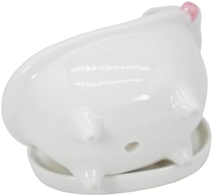 Cute Pig Succulent Planter Pot