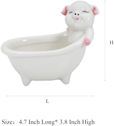 Cute Pig Succulent Planter Pot
