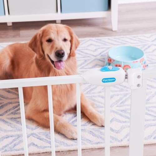 Expanding Pet Door with Wall Mounts