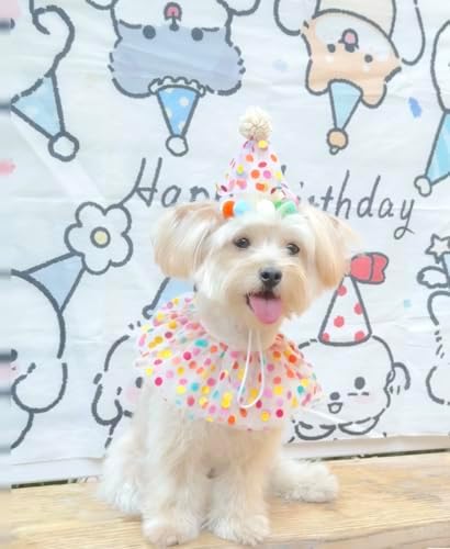 Cat Dog Princess Costume Set with Bandana Scarf and Party Hat