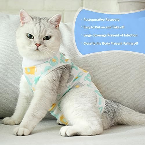 Healing Cat Recovery Suit