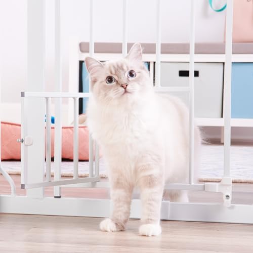 Expanding Pet Door with Wall Mounts