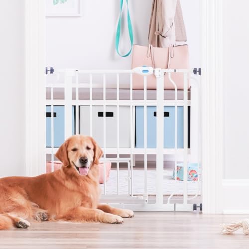 Expanding Pet Door with Wall Mounts