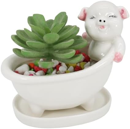Cute Pig Succulent Planter Pot