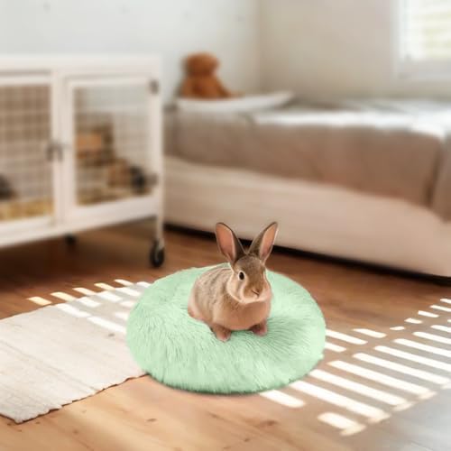 Cozy Rabbit Bed