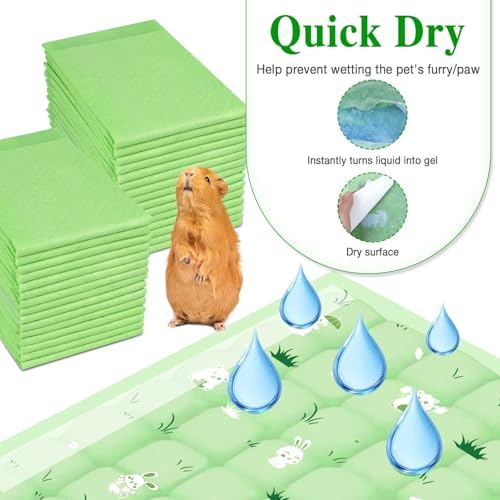 Odor-Blocking Guinea Pig Cage Liner