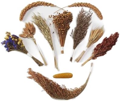 JFWOD Nature-Balanced Hamster Bedding Treats
