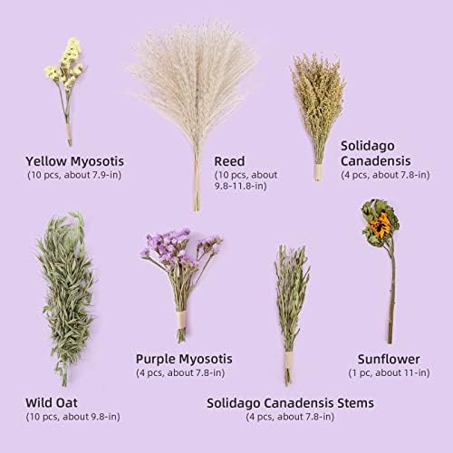 Niteangel Natural Flower Bedding for Hamsters Gerbils Mice
