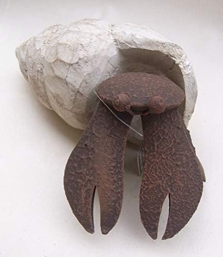 Unique Henry the Hermit Crab Ornament by Shoeless Joe for Aquariums