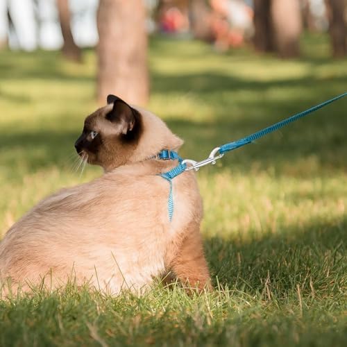 Secure Dog Leash Hook