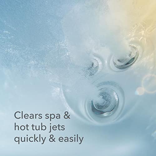 Leisure Time 1-Pint Jet Clean for Spas and Hot Tubs