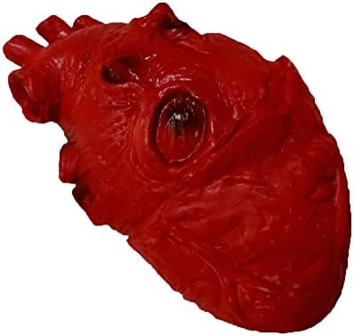 NOVELTY GIANT Blood-Red Heart Halloween Outdoor Prop