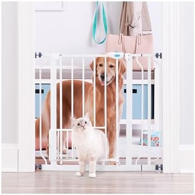 Expanding Pet Door with Wall Mounts
