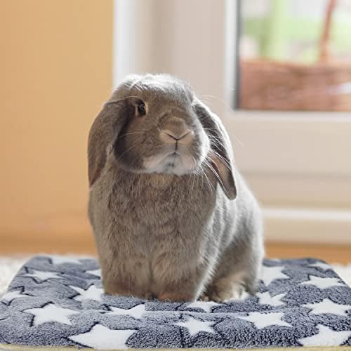 Comfortable Guinea Pig Bed Soft Warm Mat Portable