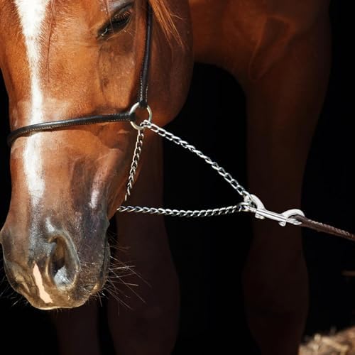 Secure Dog Leash Hook