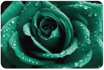 SHIRMDIY Green Rose Door Mat
