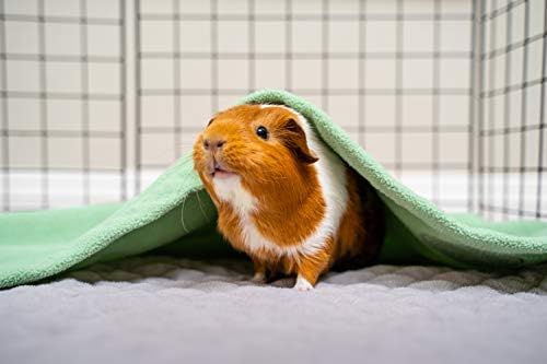 GuineaDad Liner - Eco-Friendly GUinea Pig Cage Bedding