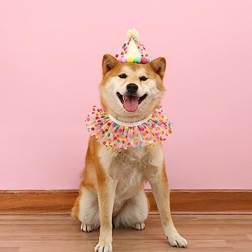 Cat Dog Princess Costume Set with Bandana Scarf and Party Hat