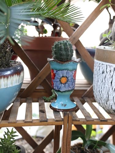 Elegant Ceramic Pots