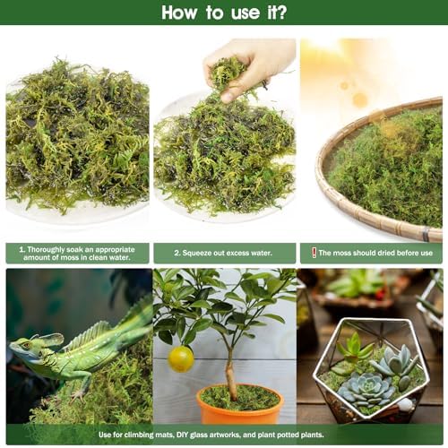 14oz Sphagnum Moss Reptile Bedding
