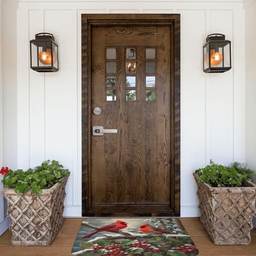Welcome Weekend Warrior Winter Red Birds Door Mat