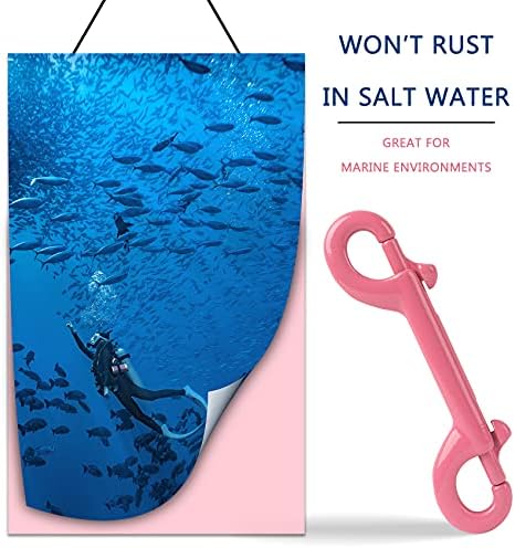 Criativo Live Marine Diving Clips