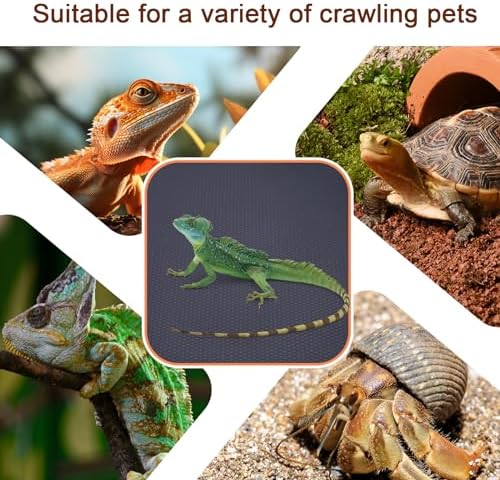 Premium Reptile Tank Mat for Bearded Dragons More