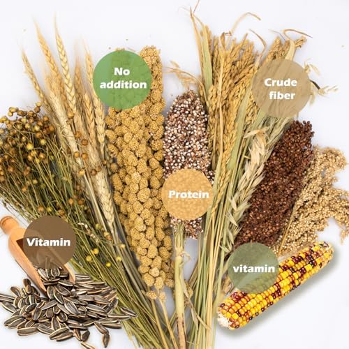 Hamster Grain Ear Florian Bedding Eco-Friendly Habitat Decor