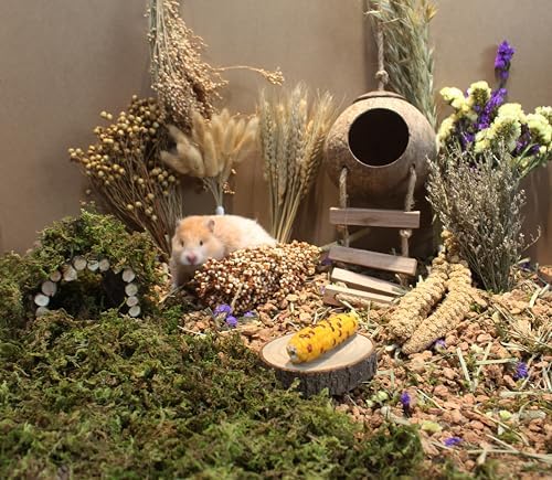 JFWOD Nature-Balanced Hamster Bedding Treats