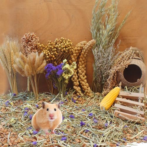 JFWOD Nature-Balanced Hamster Bedding Treats
