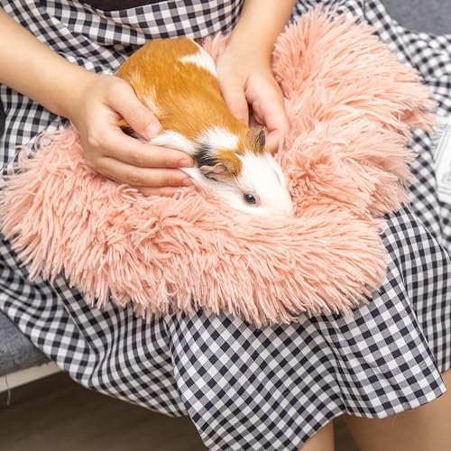 Guinea Pig Blankets 4-Pack