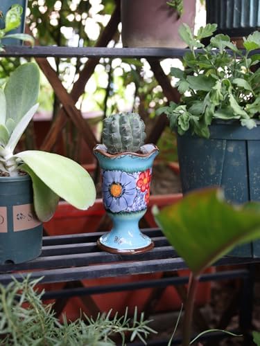 Elegant Ceramic Pots