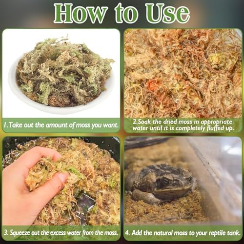 Halatool 11LB Sphagnum Moss for Reptiles and Small Pets