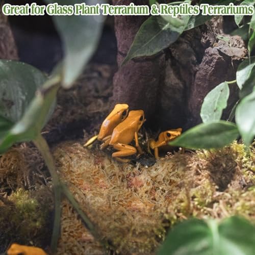 Halatool 11LB Sphagnum Moss for Reptiles and Small Pets