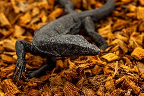 ReptiChip Premium Coconut Substrate 72 Quart relebe Reptile Bedding for Varies