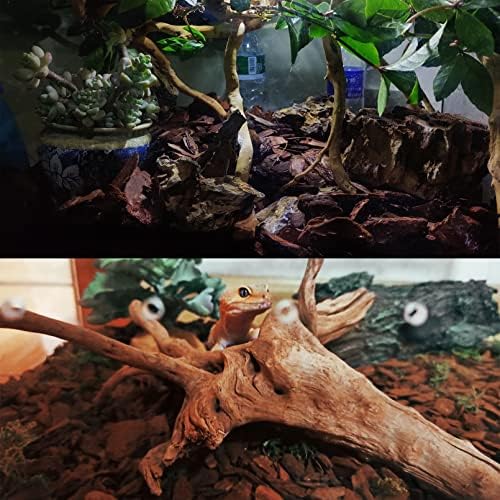 Crate Bedding for Geckos Lizards and Turtles