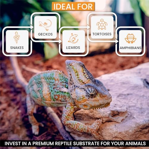 ReptiChip Premium Coconut Substrate 72 Quart relebe Reptile Bedding for Varies