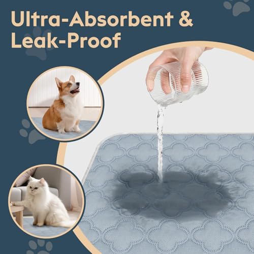 Washable GUINNergy Pad - Reusable GUINNergy Pad for Guinea Pigs Light Grey