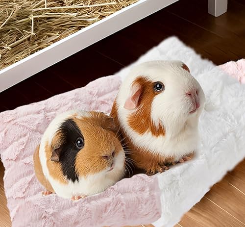 MeowWoof 2-Pack Washable Guinea Pig Mat