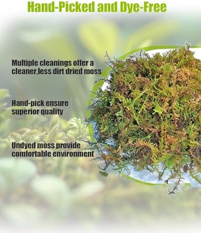 Allure of Sphagnum Moss