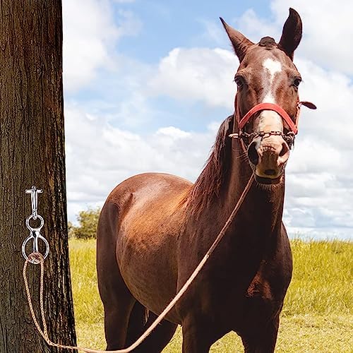 LUTER Heavy Duty Horse Tie Ring Set