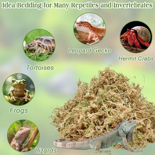 Halatool 11LB Sphagnum Moss for Reptiles and Small Pets