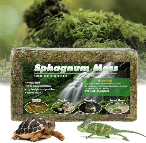 14oz Sphagnum Moss Reptile Bedding