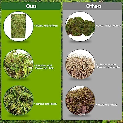 14oz Sphagnum Moss Reptile Bedding