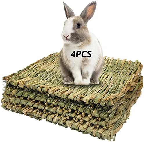 Grass Mat for Small AnimalsPacked with Gritty Goodness