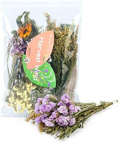 Niteangel Natural Flower Bedding for Hamsters Gerbils Mice