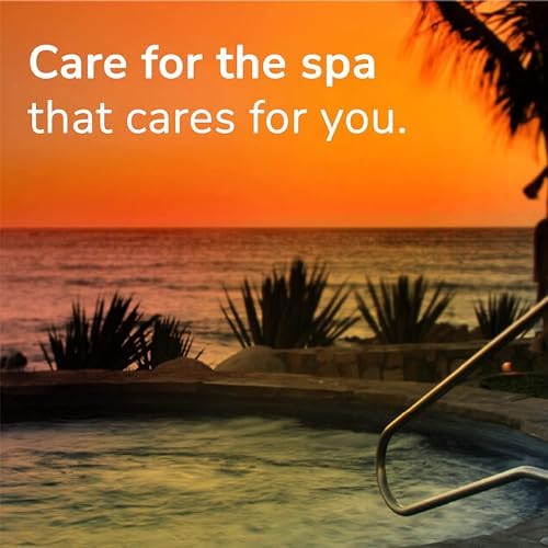 Leisure Time 1-Pint Jet Clean for Spas and Hot Tubs