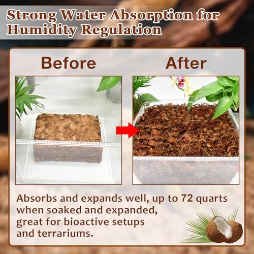 Bespoke Natural Coconut Chips Substrate for Reptiles amphibians and more