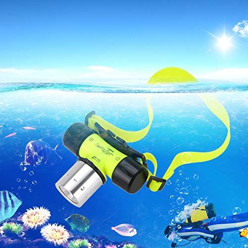 Windfire IntENSE 1000 Lumens
