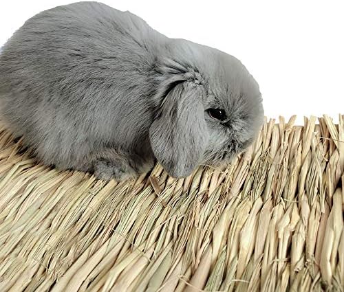 Grass Mat Woven Bed Mat for Small Animals Pack of 3